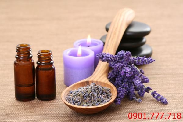 tinh dầu oải hương - Lavender